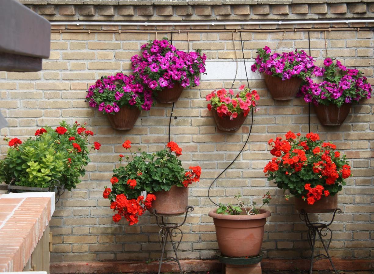 Murano Garden House Leilighet Eksteriør bilde